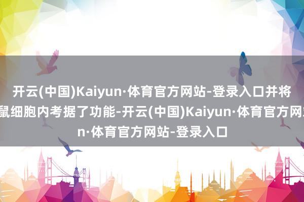 开云(中国)Kaiyun·体育官方网站-登录入口并将其转机至小鼠细胞内考据了功能-开云(中国)Kaiyun·体育官方网站-登录入口