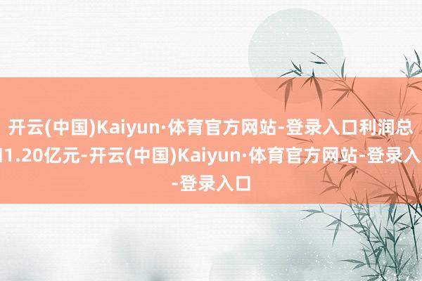 开云(中国)Kaiyun·体育官方网站-登录入口利润总和1.20亿元-开云(中国)Kaiyun·体育官方网站-登录入口