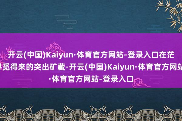 开云(中国)Kaiyun·体育官方网站-登录入口在茫茫大海中寻觅得来的突出矿藏-开云(中国)Kaiyun·体育官方网站-登录入口