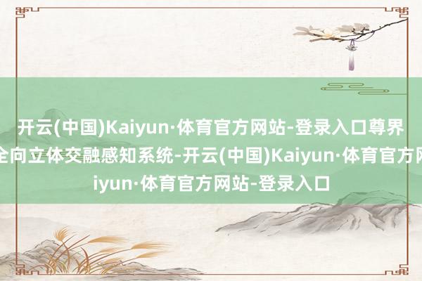 开云(中国)Kaiyun·体育官方网站-登录入口尊界S800搭载了全向立体交融感知系统-开云(中国)Kaiyun·体育官方网站-登录入口