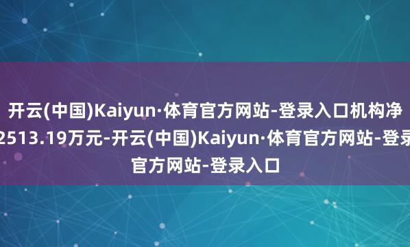 开云(中国)Kaiyun·体育官方网站-登录入口机构净买入2513.19万元-开云(中国)Kaiyun·体育官方网站-登录入口